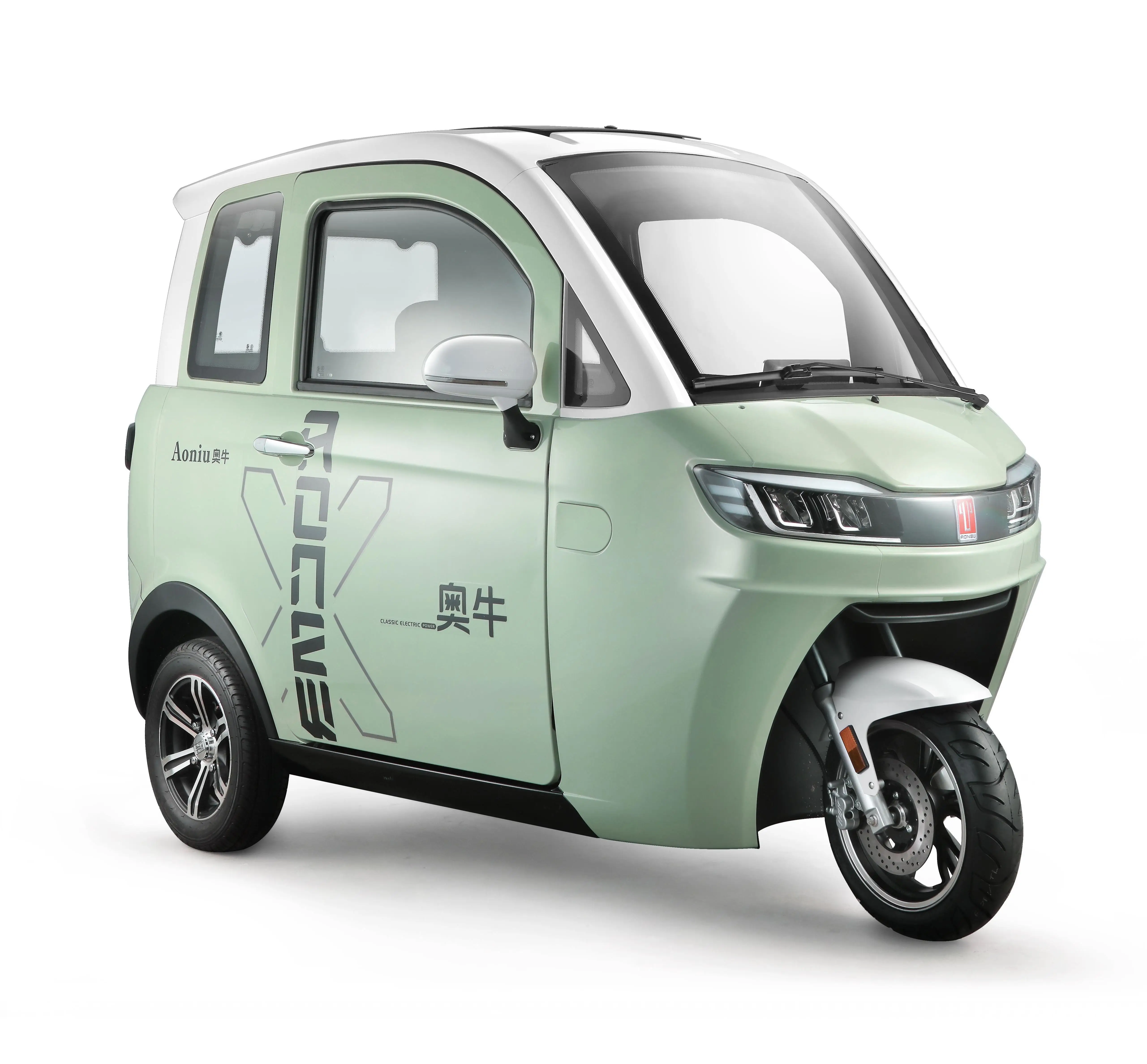 Hot 3-Wheel 1000W Electric Motorcycle 2-Seater Mini Car for Adults Closed Body Type for Cargo and Passenger Use