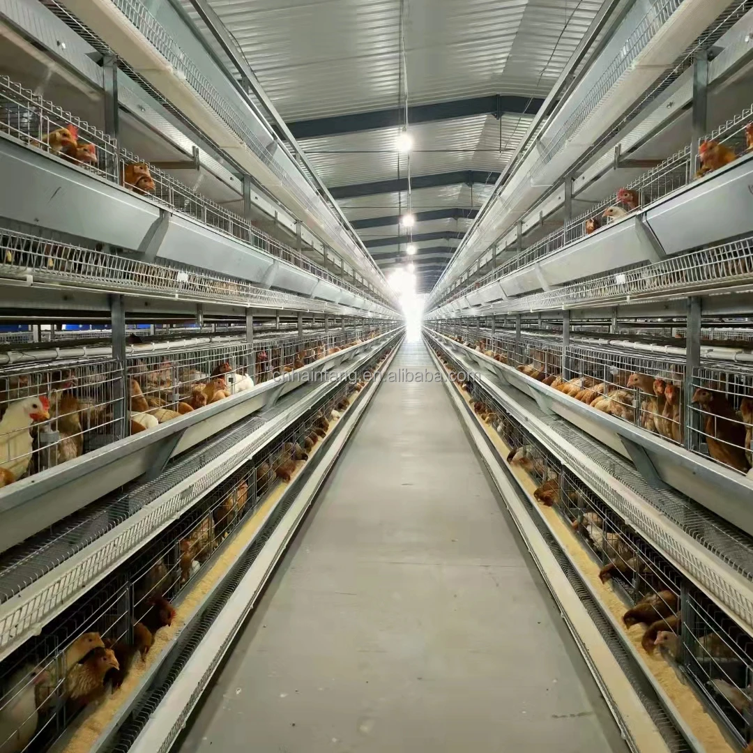 3-8 tiers design 48 birds per tier  fully automatic H type  battery cage chicken