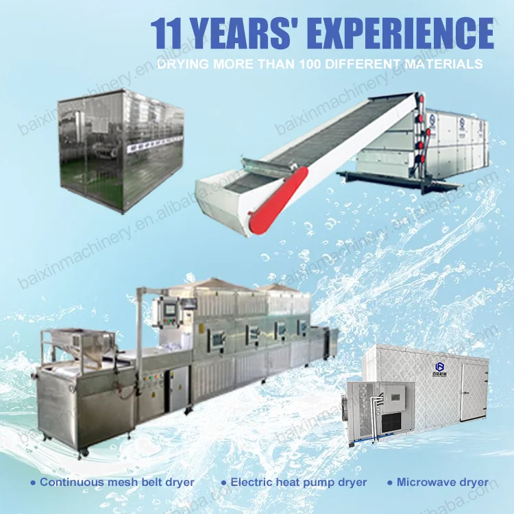 Hot selling 304 stainless steel pitaya dryer vegetable heat pump dryer coconut drying machine