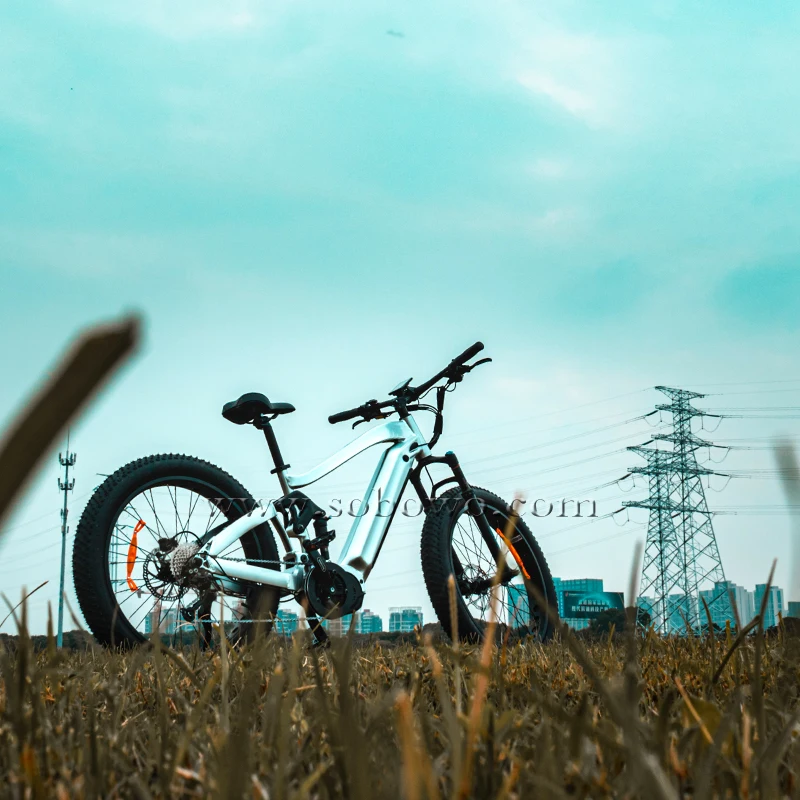 New list 48v fat tire full suspension electric mountain bicycle 1000w mid motor bafang ebike bicicleta electrica beach cruiser