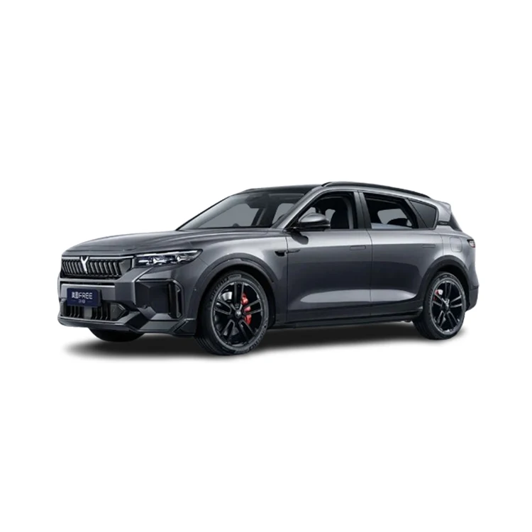 China 2025 New 4x2 4x4 5 Doors 5 Passenger Seats 255 45 R20 Tires Left Hand Drive Endurance Mileage 318km Suv