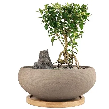 
 Round Unglazed Ceramic Bonsai Pot with Bamboo Tray, Large Rough Pottery Succulent indoor Planter with Drainage Hole  