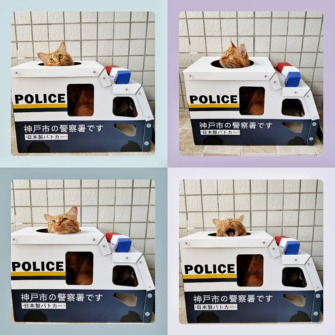 Автомобильная чесалка для кошек, картонная Когтеточка «сделай сам», игрушки для кошек, товары для дропшиппинга 2021