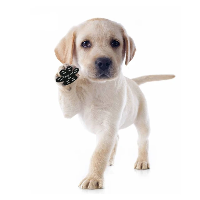 Amazon new pet supplies cut-proof disposable dog insole foot patch cat invisible pet shoes