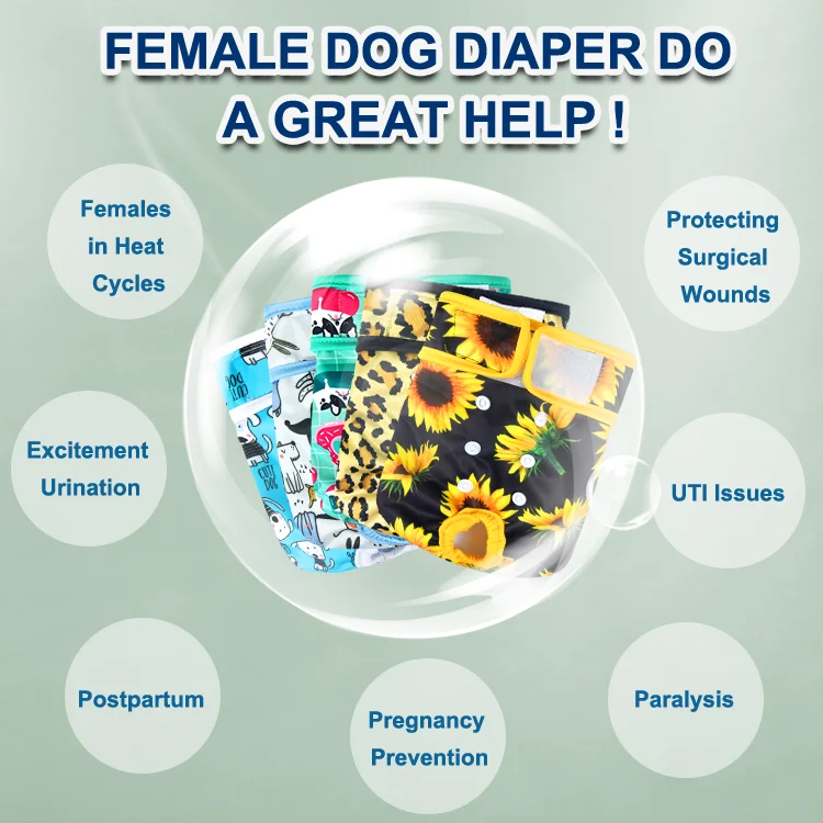 Natucare BSCI reusable dog diaper hole less prints reusable female dog diaper for pet