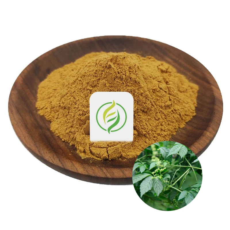 Wholesale Jiaogulan Organic Gynostemma Extract Powder Gypenosides 98% Gynostemma Extract