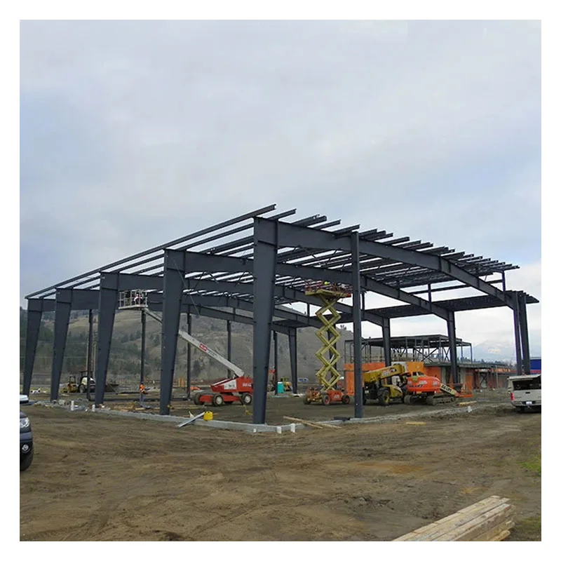 Li Xin Cheap Steel Structure Warehouse Sport Hall Framing Building Factory Shed Prefab Factory Outdoor Storage Workshop