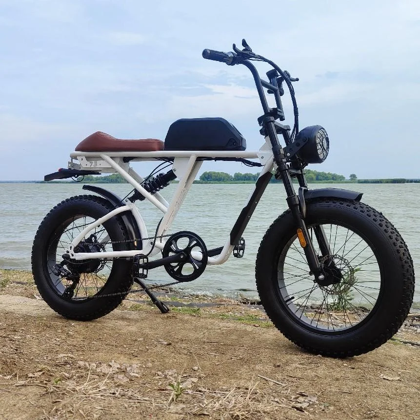 Hot Sale Eec 20inch Dutch Retro Classic Ebike City Bike Electric Bicycle 700c