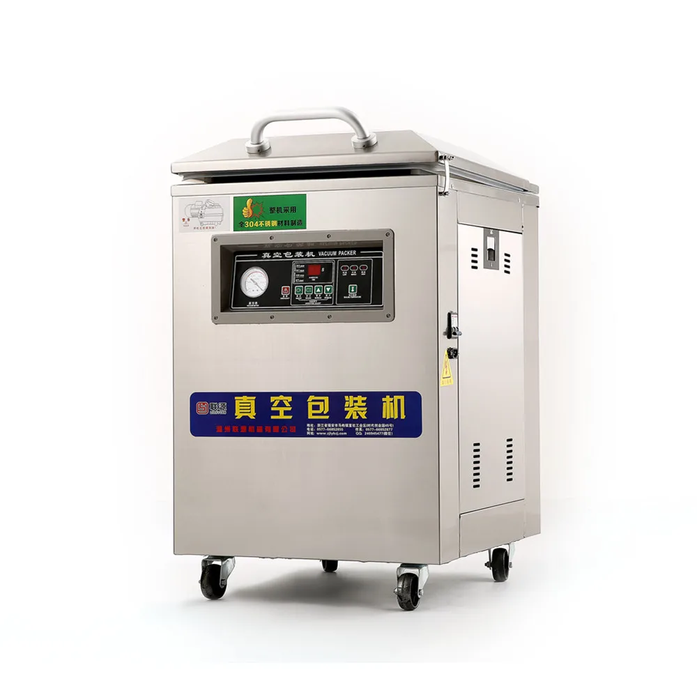 DZ-600/2E small food potato tomato vegetable nitrogen vacuum packing machine