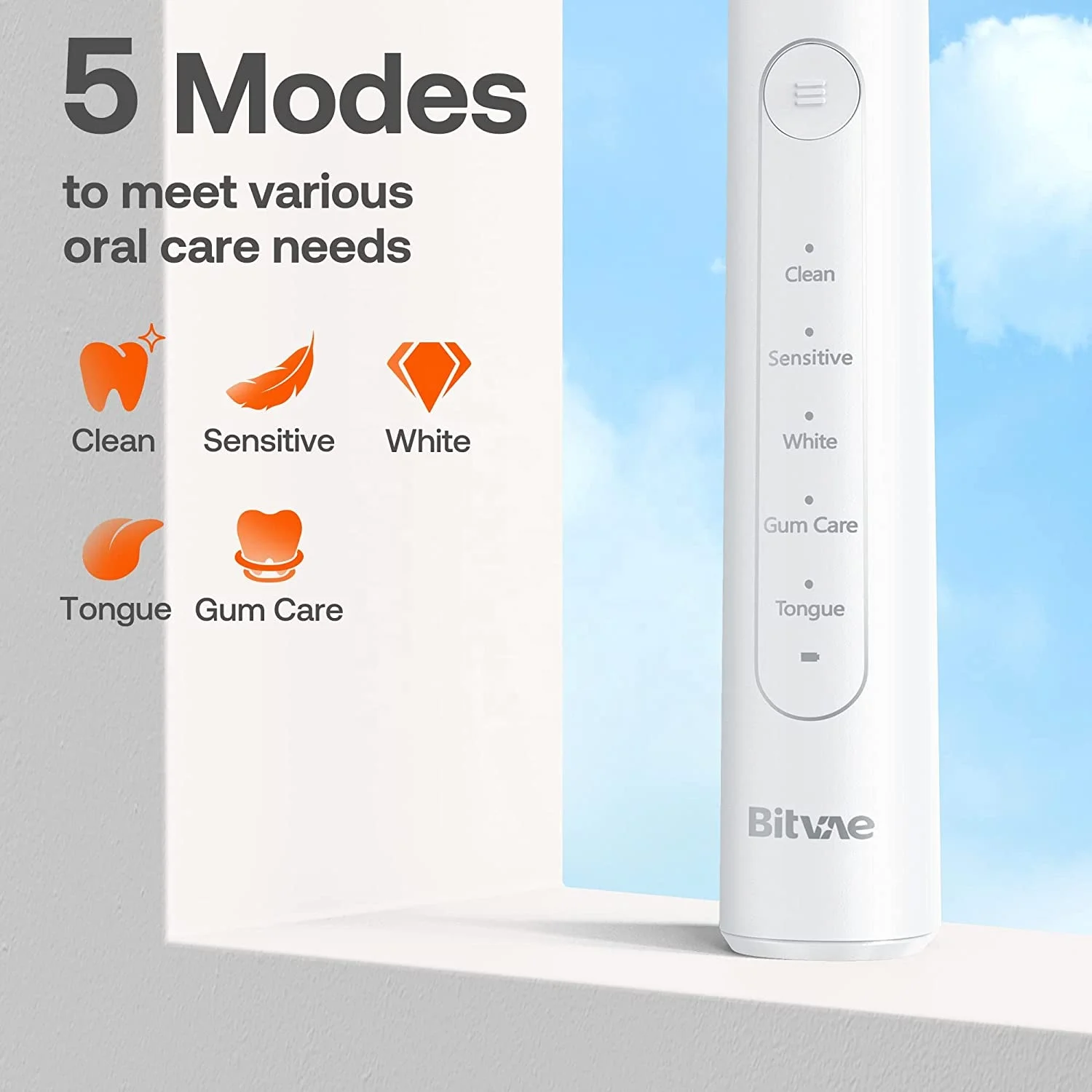Bitvae BV R2 White Electric Toothbrush with 8 Heads Travel Case