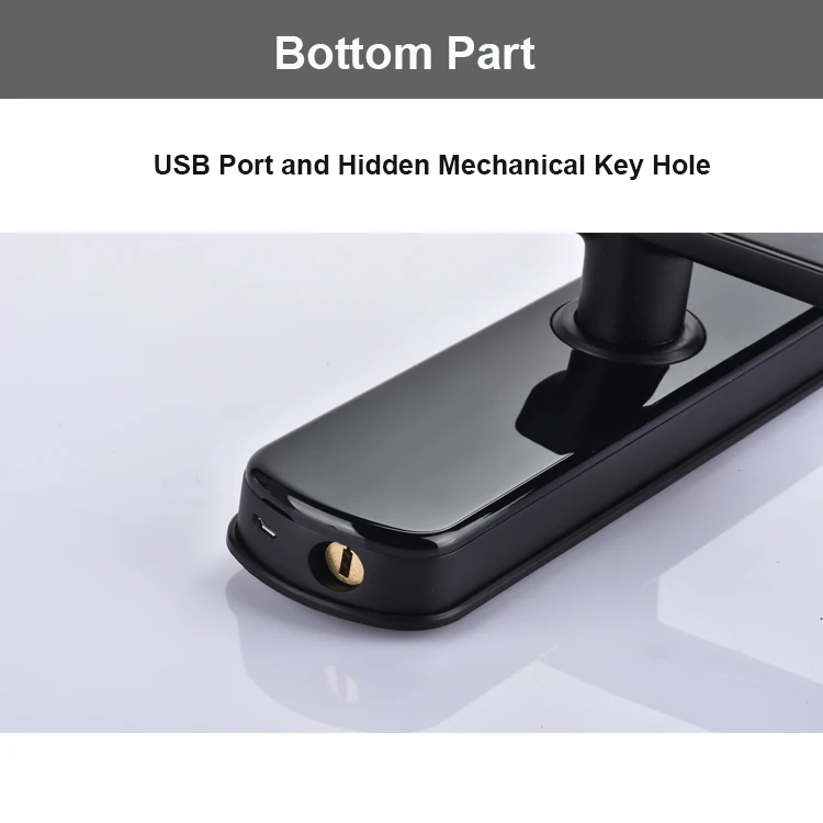 Smart Home Electronic Electric TT APP Wifi Smart Lock Digital Biometric Fingerprint Door Lock