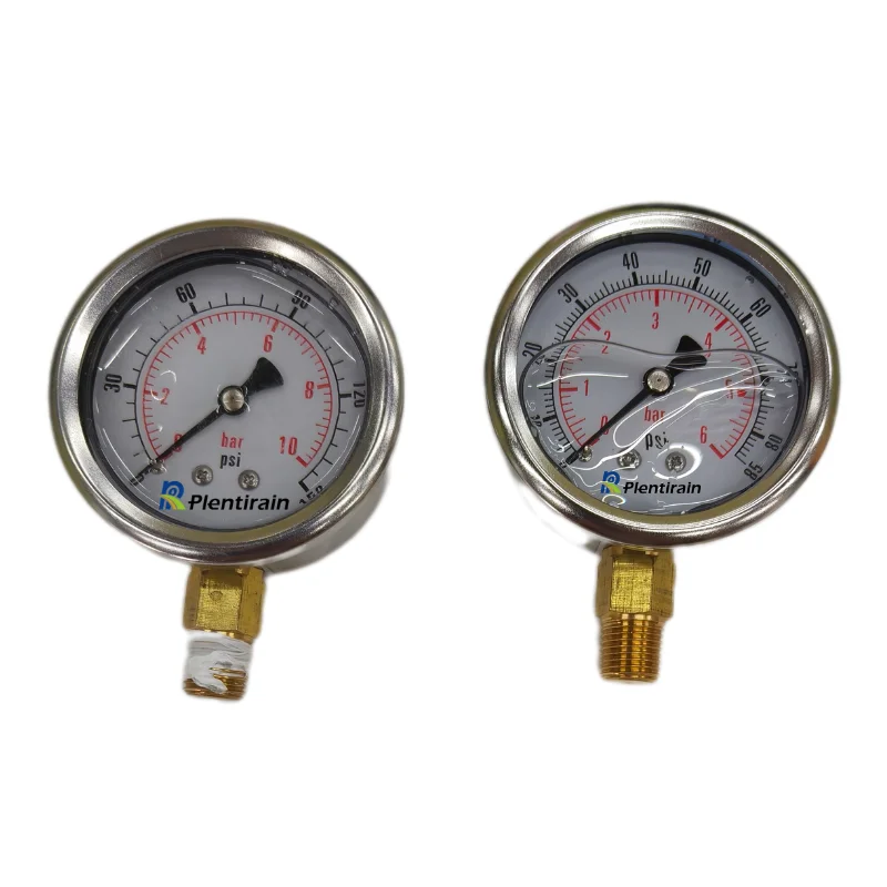 Stainless steel Industrial high accuracy glycerin BSP pressure gauge With glyserine 63/10 bar for agriculture