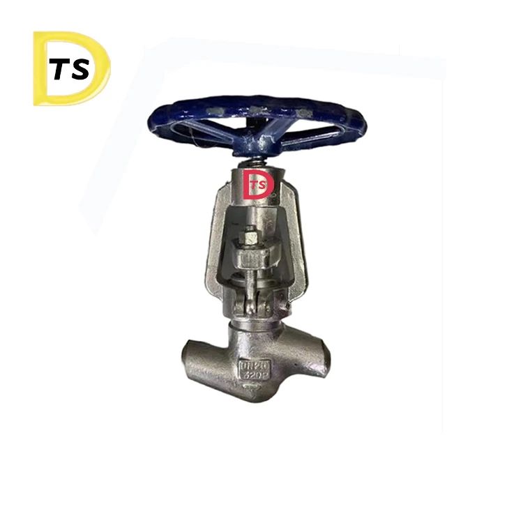 F304 F316 HOT Steam globe valve Bellow Seal Stainless Steel Forged Globe Valve
