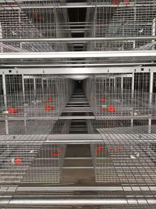 Pengda popular chicken egg layer Chinese battery for tanzania poultry farm