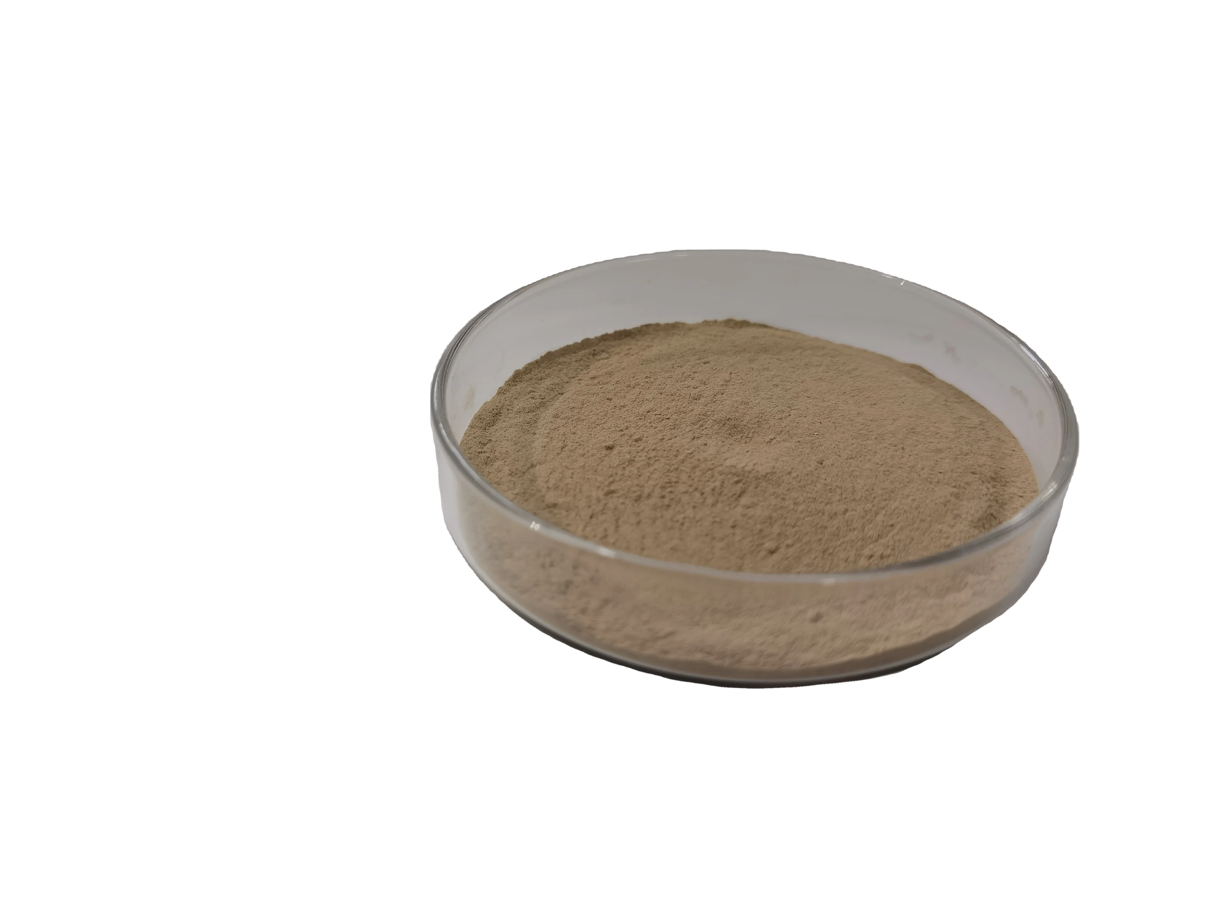 Заводская распродажа различные новые виды порошок Lactobacillus Plantarum