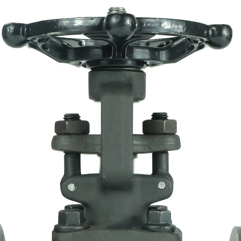 DKV Z41H ANSI 150# Forged Steel Gate Valve PN16/25/40 300LBS Forged Steel Flange Gate Valve OS&Y