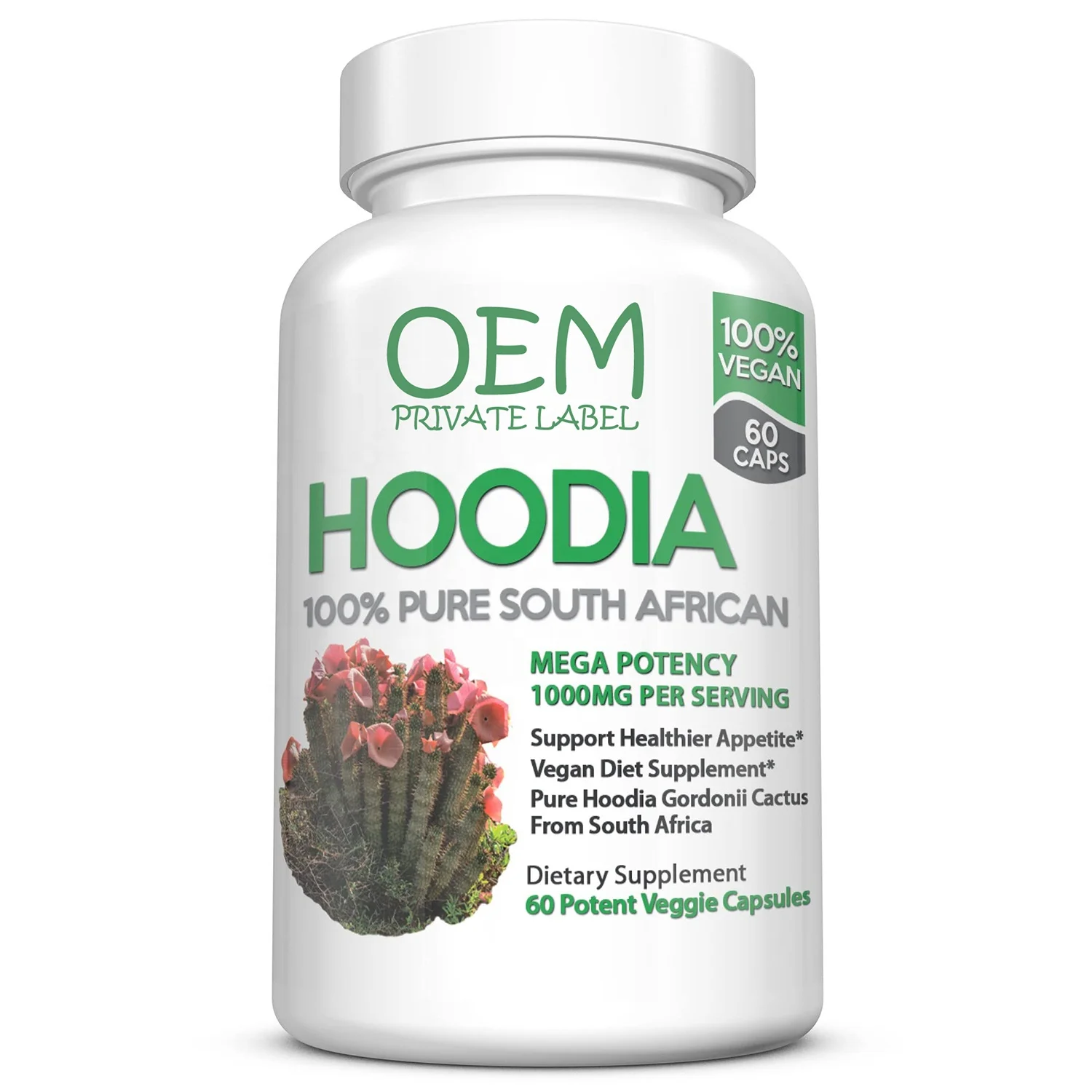 Hoodia Gordonii Capsules Vegan Appetite Suppressant Carb Blocker Detox Slimming Fat Burner Capsules Hoodia Gordonii Extract
