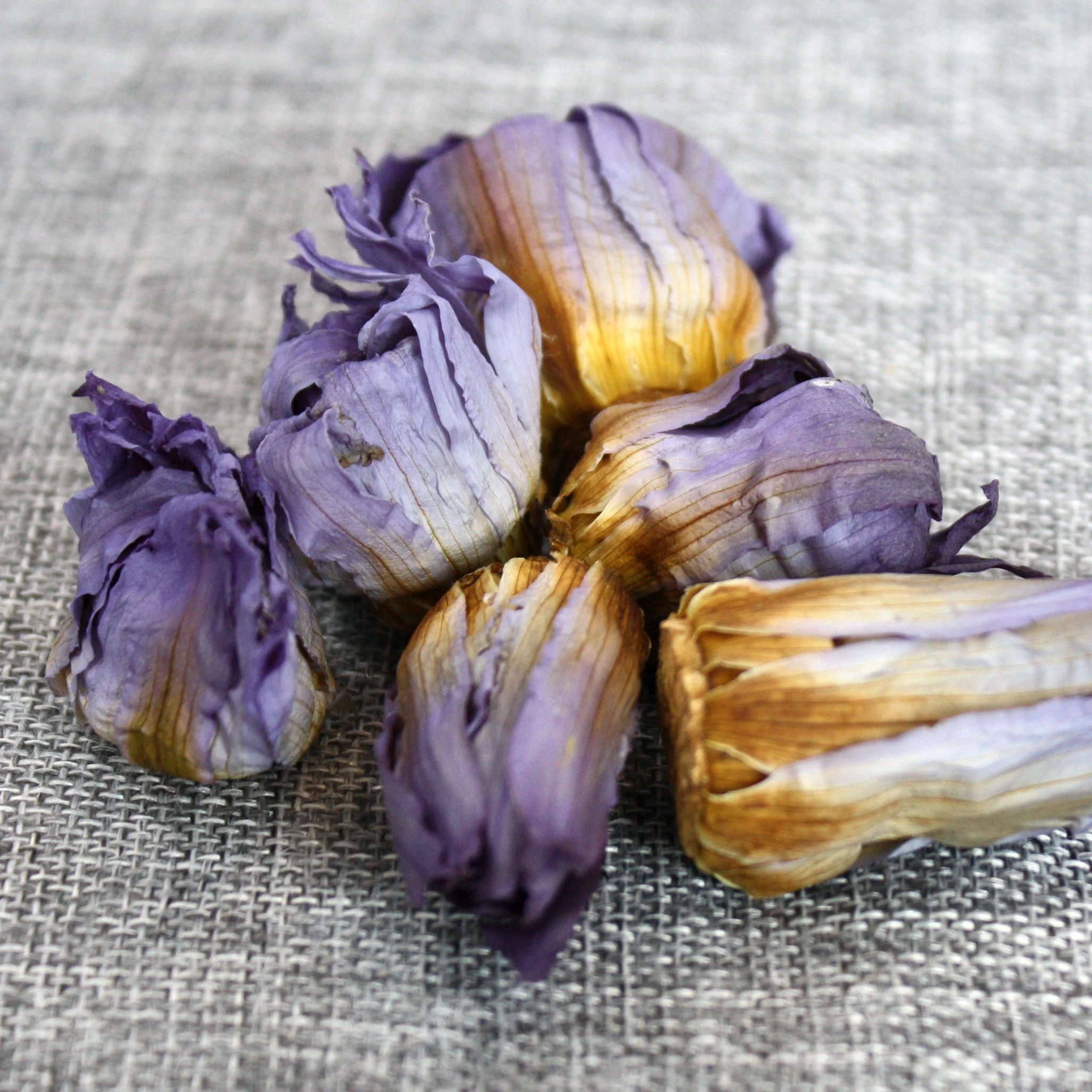 
4009 Lan lian hua famous Chinese traditional medicine blue lotus 