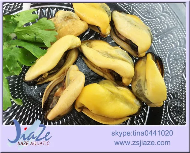 
Seafood Frozen cooked mussel meat 