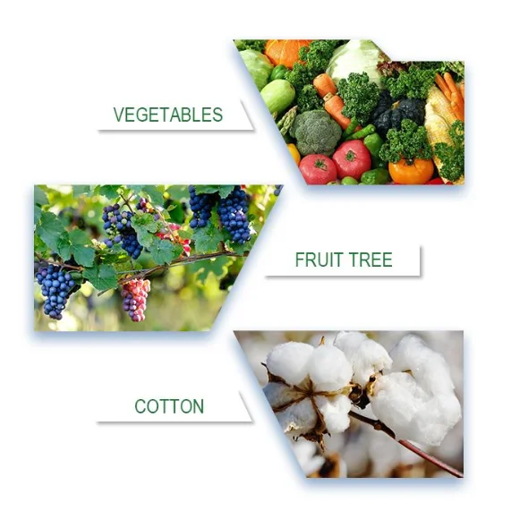 Cotton Peanut Plant Growth Regulator Thidiazuron 98%tc 50%wp Thidiazuron120g/l+ diuron60g/l sc