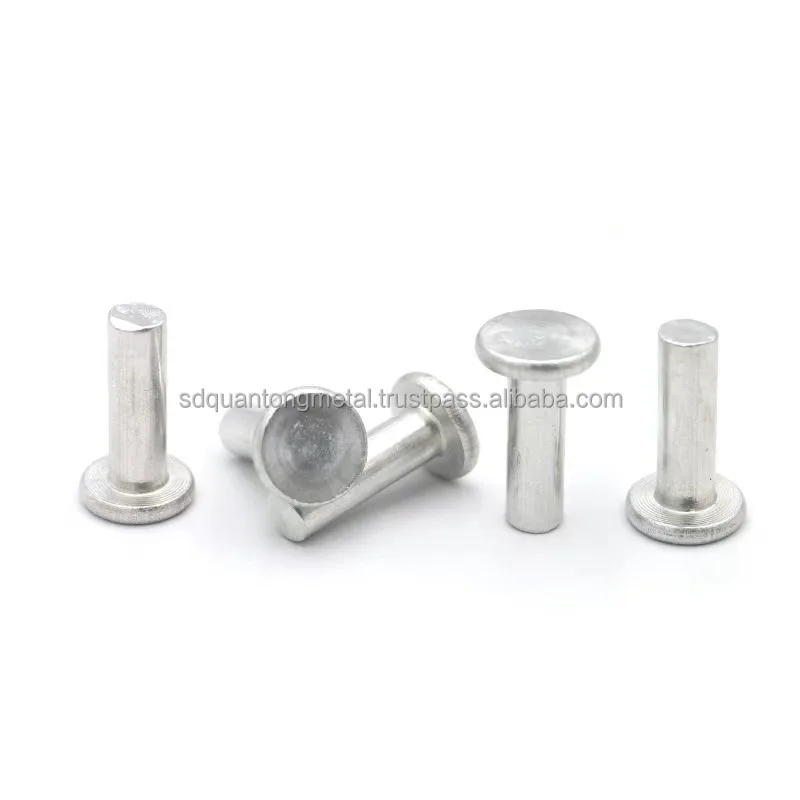 Round Flat Head Steel Nail Metal Solid Rivet Screw aluminum sheet metal screws
