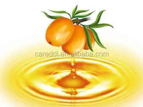 5Liter Lab Series Supercritical CO2 Fluid Extraction Machine Sea Buckthorn Seed Oil Extraction Machine