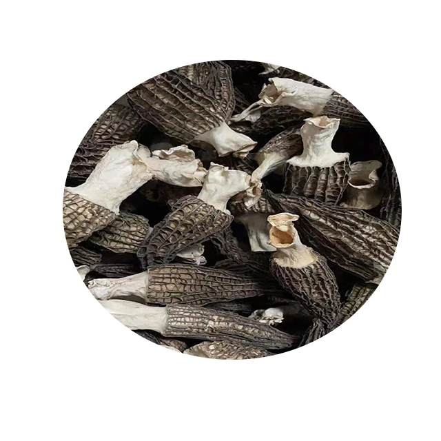 Cheap Price  Dried Black Morels Mushrooms for Sale with High Quality  2-3 inch,5 -7cm