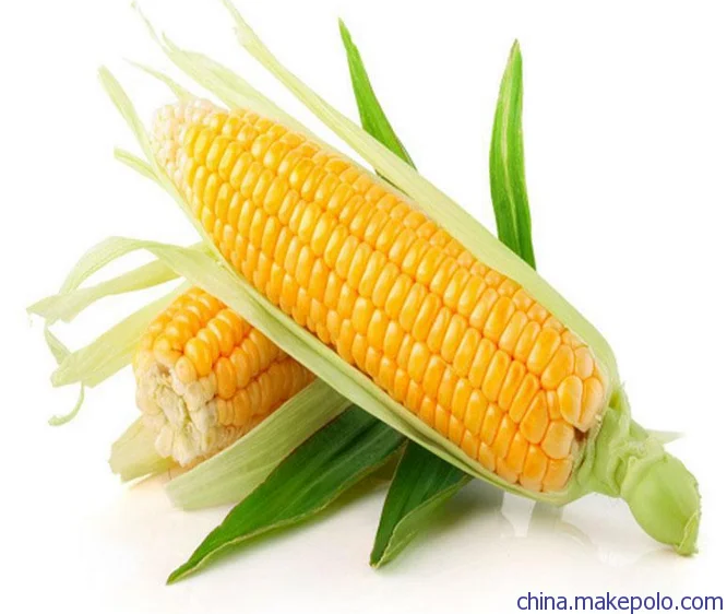corn