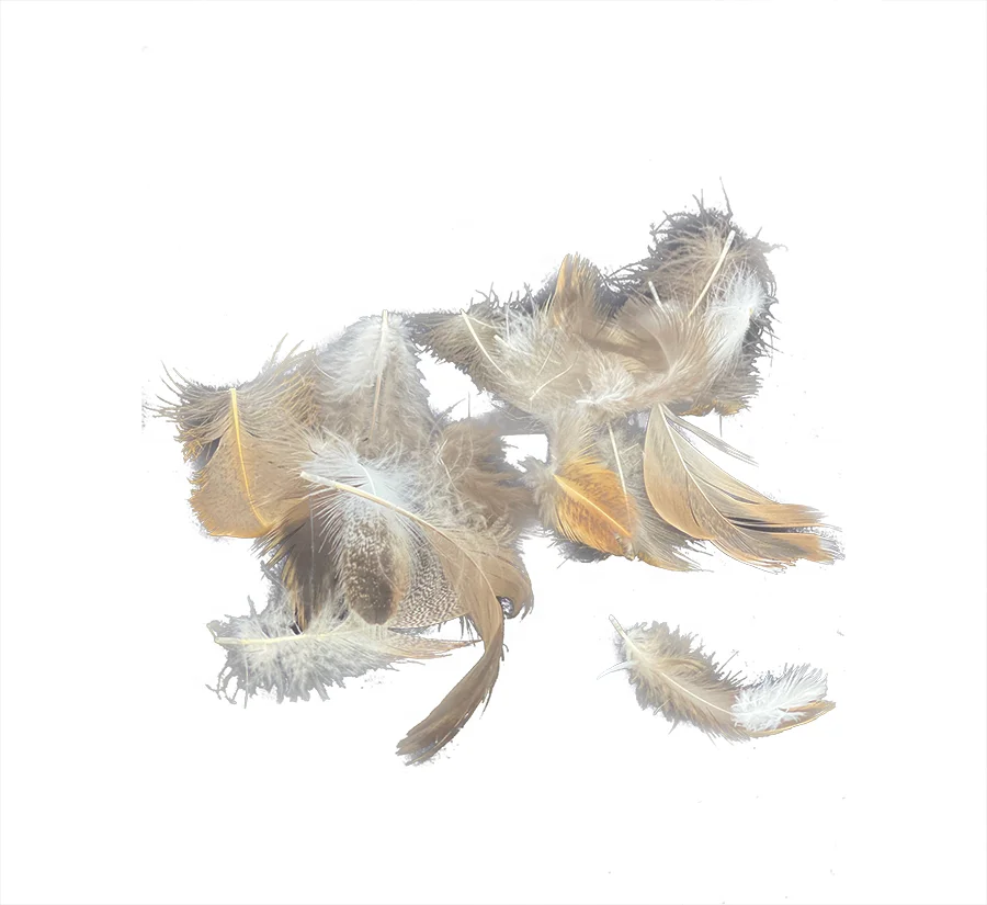 Factory Directly Wholesale Mattress Pillow Filling Material 90% Washed Gray Duck Feather