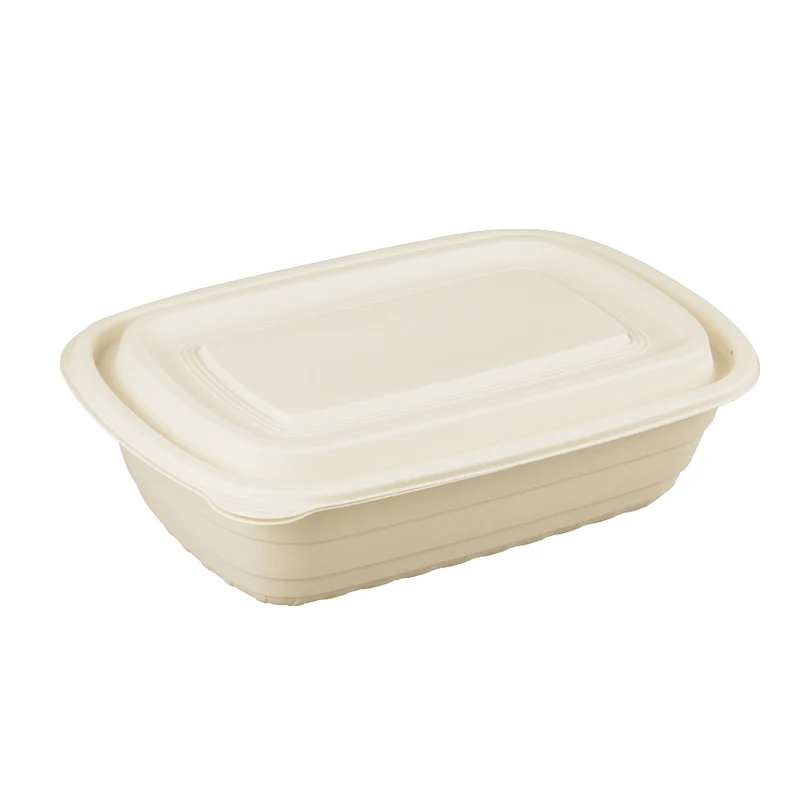 Manufacture Factory compostable Biodegradable Bagasse Packaging disposable sugarcane Buger pulp paper box