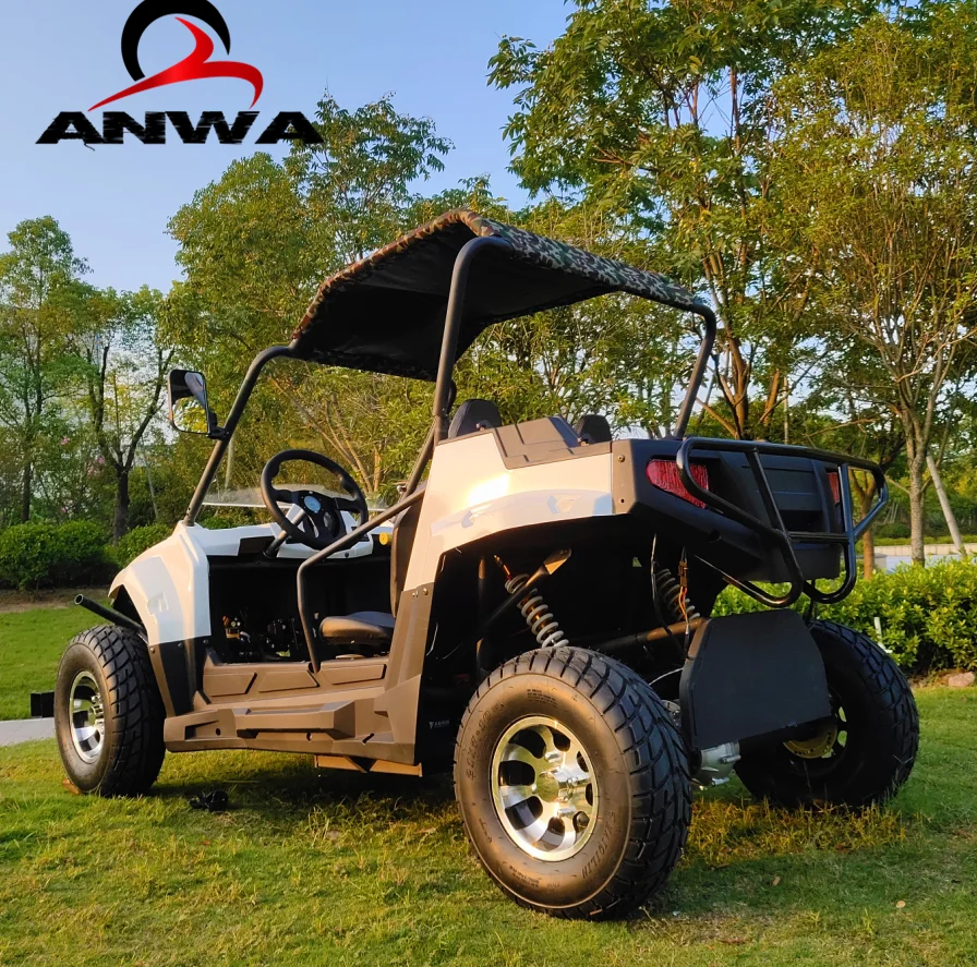  Новинка 5000 Вт 4x4 Электрический UTV для
