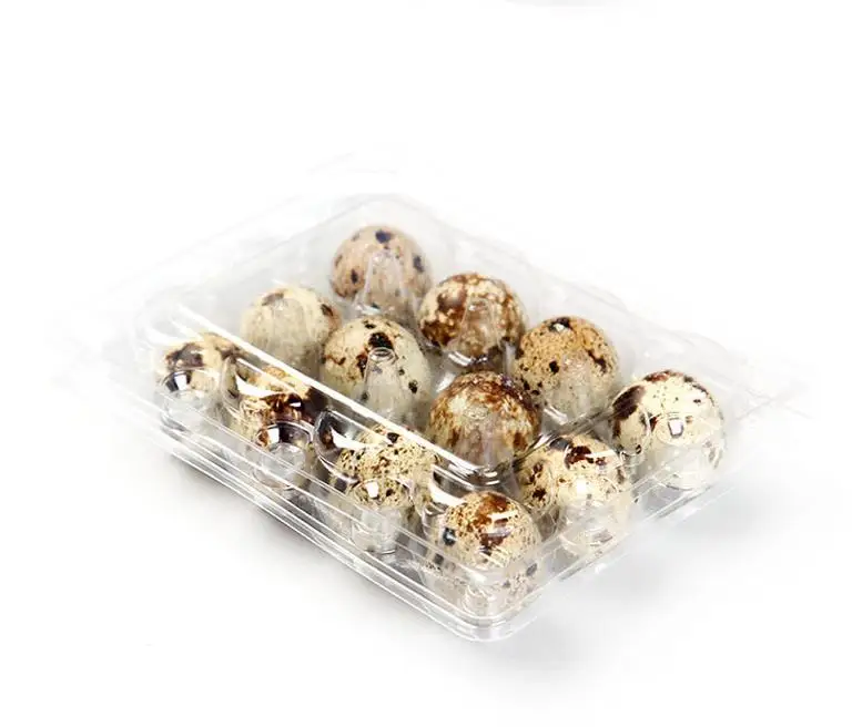 Custom Packs Clear Box Quail Egg Blister Plastic Cartons