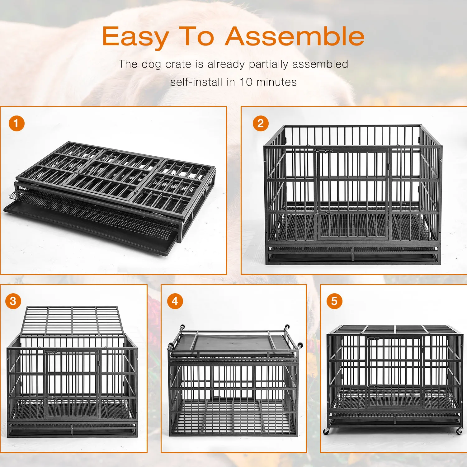 Hot Sale Manufacturers Wholesale Stainless Steel Dog Folded Cage Large Dog Medium Dog Pet Cage