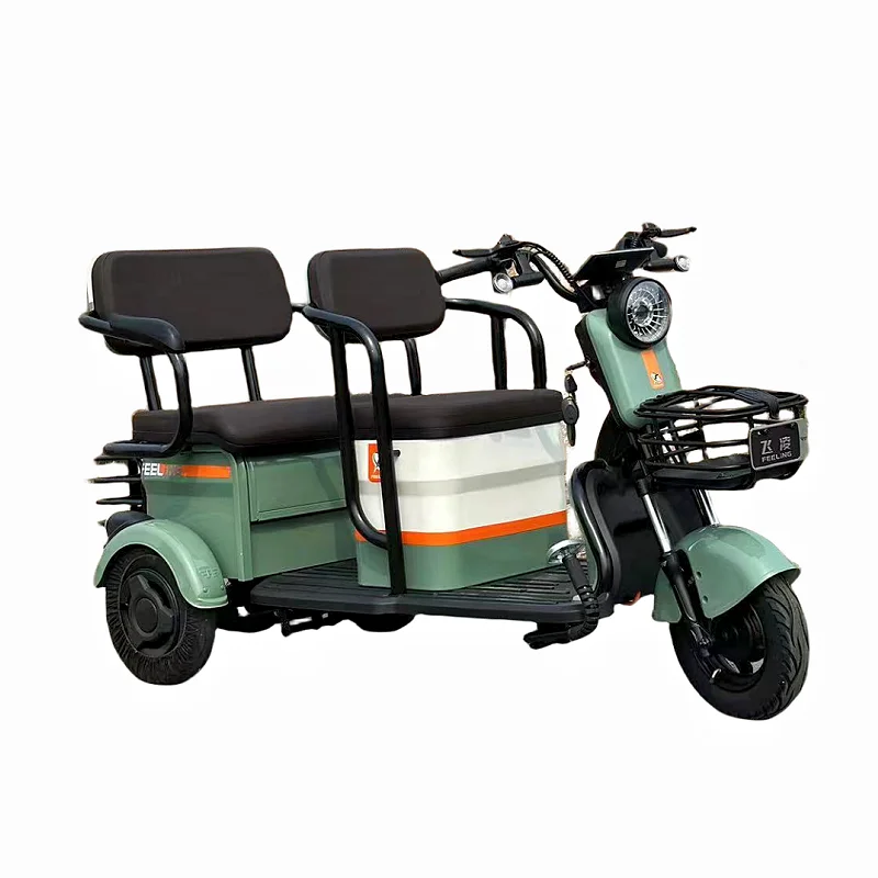 High Quality China-Made Electric Tricycle Cargo Open Body Type with 48V with Low Price