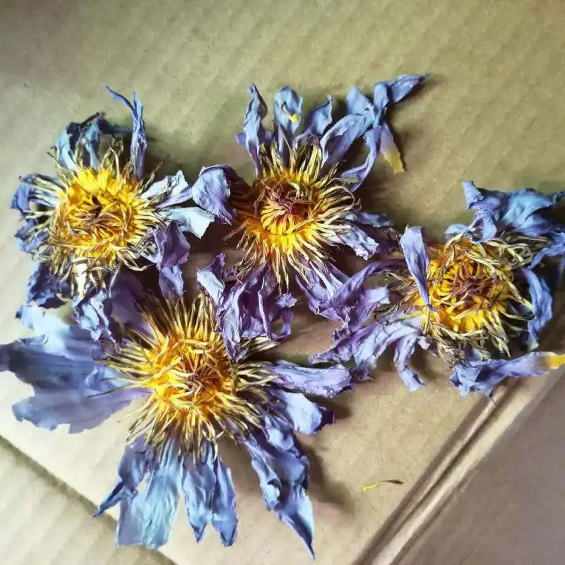 Wholesale Genuine Suppliers Egyptian Herb Whole Dried Blue Lotus Flower Tea