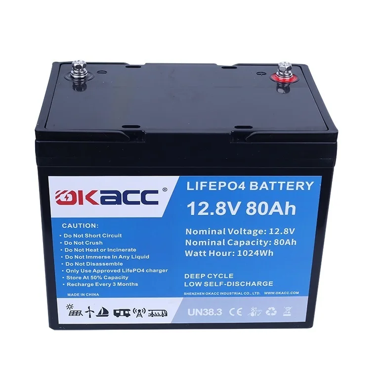 Professional Manufacturing Rechargeable Lithium Ion Car Battery 12V