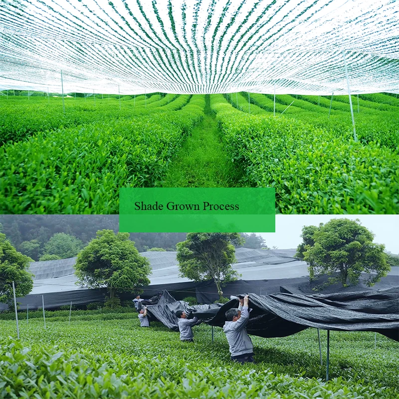 100g Culinary Grade Matcha Pulver Matcha Green Tea Te Verde Matcha for Latte Biscuit Pastry Ice cream