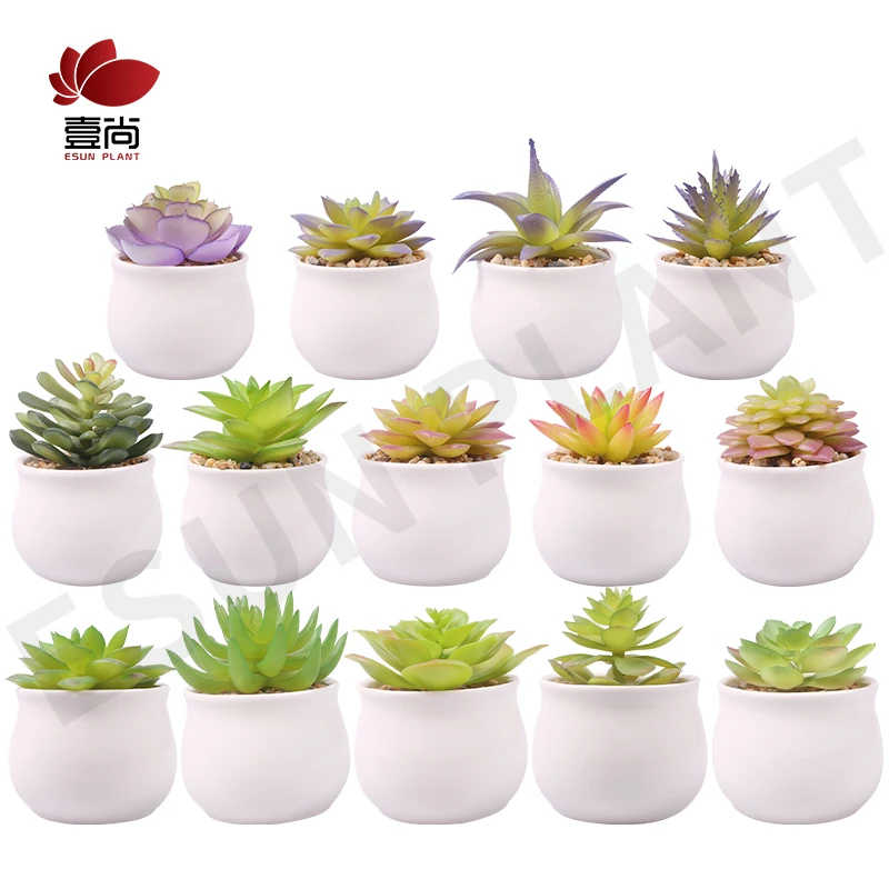 Indoor Garden ESUN Artificial Succulent Plants Small Plants in White Ceramic Potted for Indoor Decor Office Room Desk Decoration
