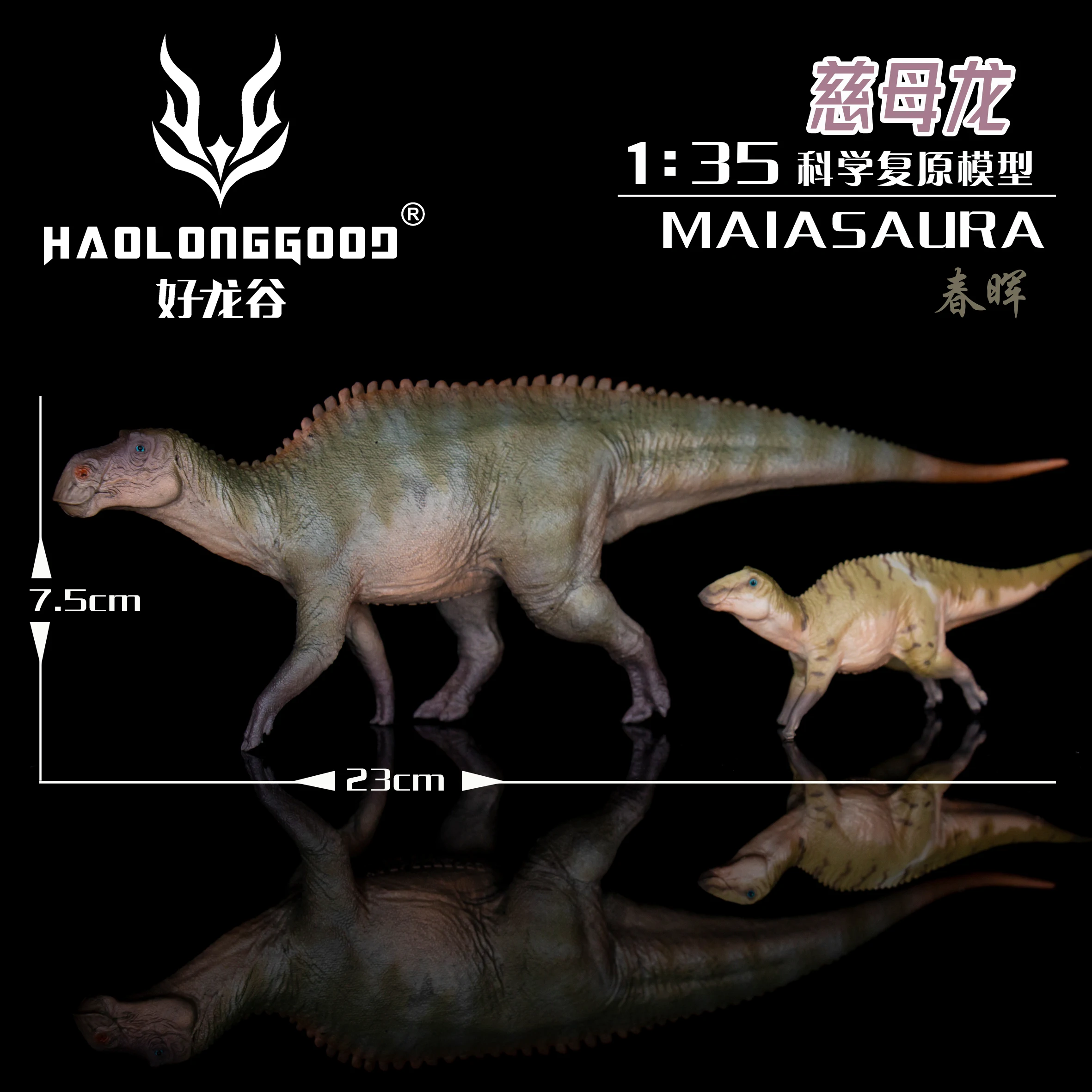 HaoLongGood Custom Plastic Realistic Dinosaur Figurines Dinosaur Statue Dinosaurs Figure Toy For Kid Educational Gift PVC Unisex