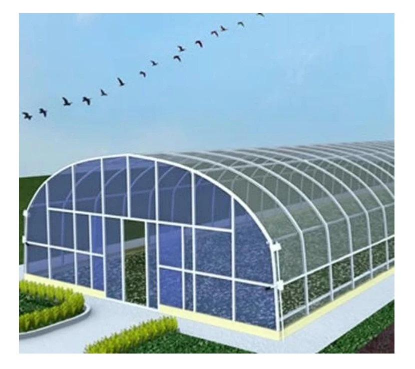 Best-Selling Large Hydroponic Greenhouse Hot-Dip Galvanized Steel Frame Double-Layer Plastic Film Growing Tomatoes Strawberries