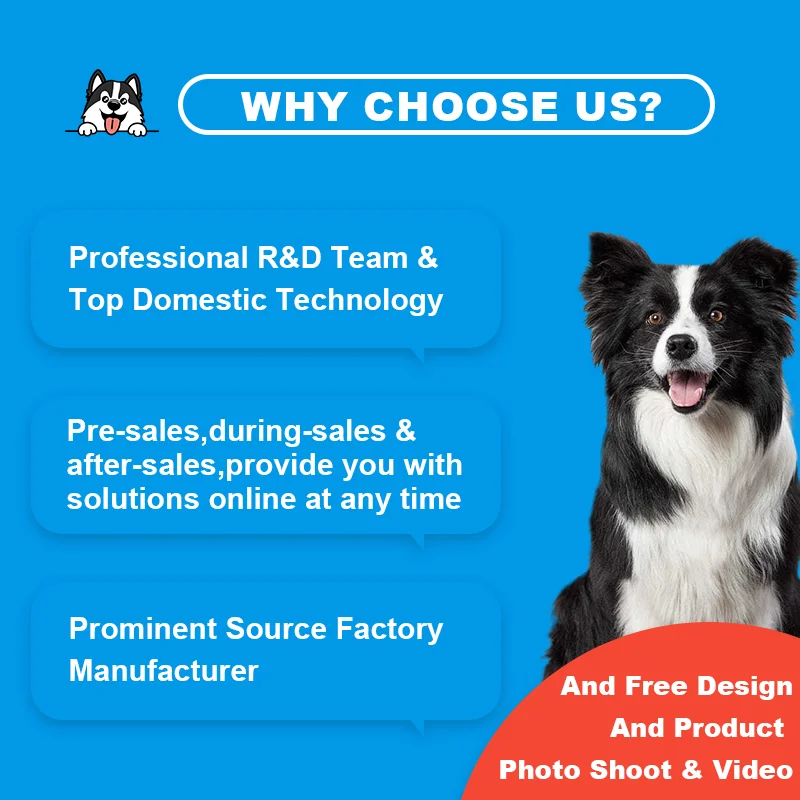 Pet Max |10-in-1 High Protein Pet Food Supplement Delicious Flavor Powder for Dogs Cats Customized Taste Adult Use Packaged