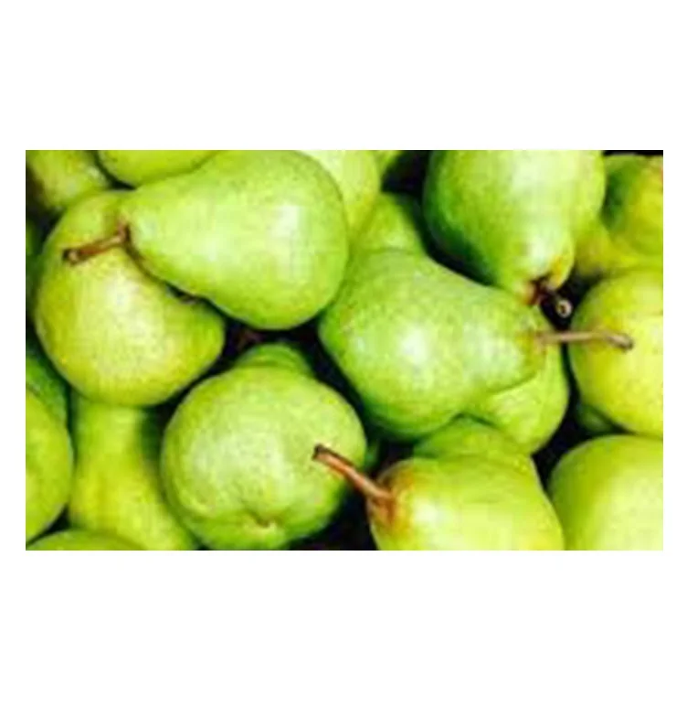  Южная Африка супер качество свежие PACKHAM TRIUMPH PEARS оптовая