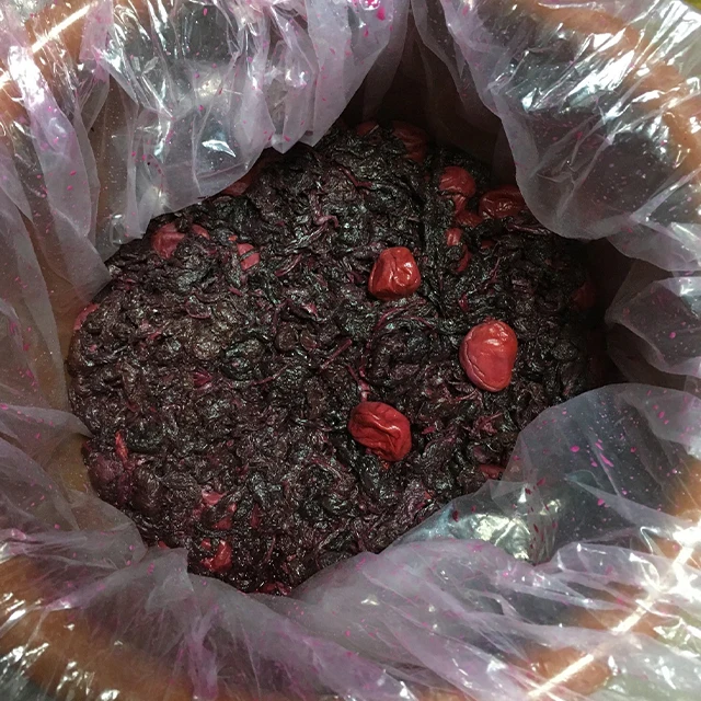 Japanese young ume supplier prune products umeboshi food dry fruit