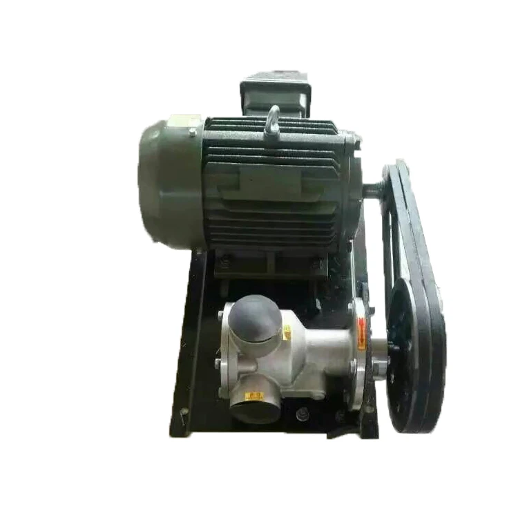 Stainless steel high viscosity health molasses pump can be used explosion proof motor