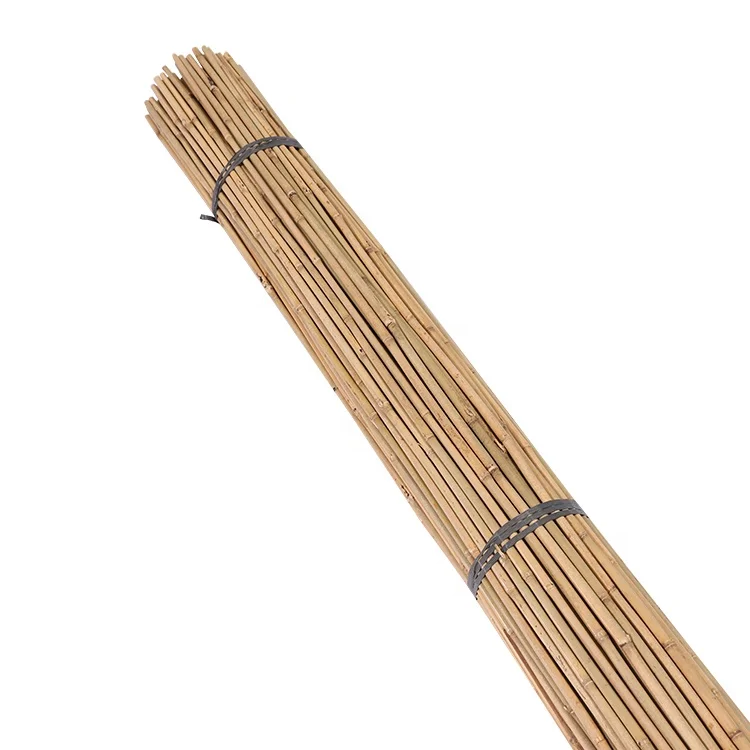 bamboo cane 150cm, Dia.12-14mm for plant support