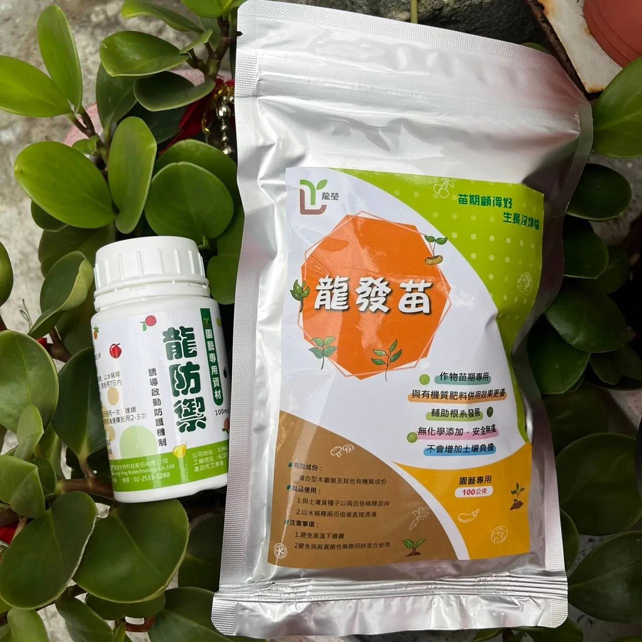 Высококачественные материалы для садоводства роста корней легкие Fa Miao + Lung Fang Yu 100 г и мл