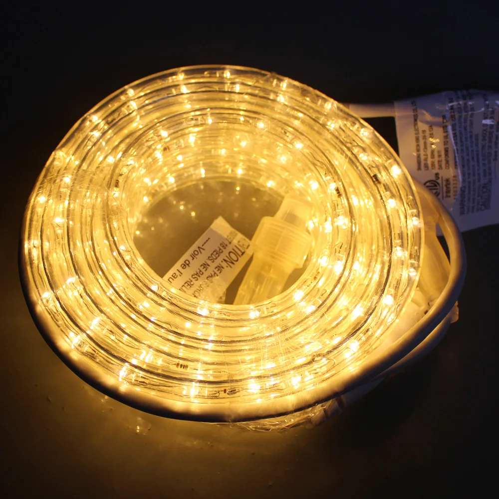 
white color led rope light color changeable for home decoration Amazon popular circular two wire rope light 