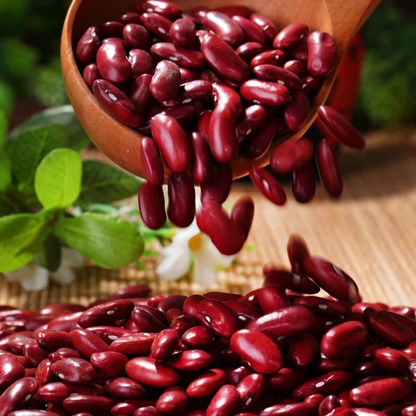 Высококачественные съедобные Натуральные Сушеные маленькие фасоли, красная фасоль