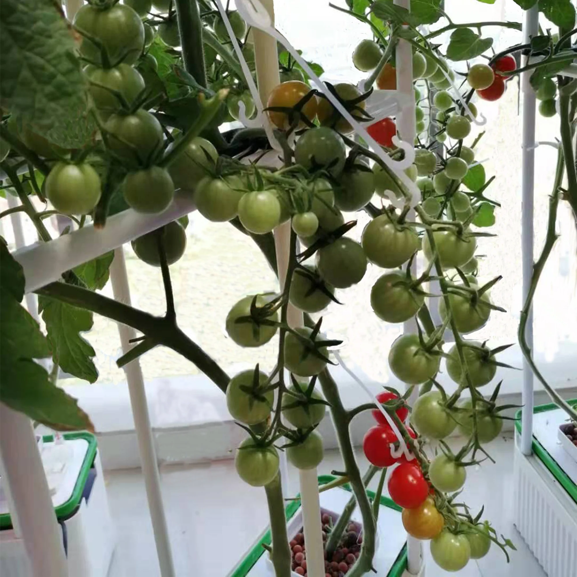 complete hydroponic growing systems hydroponic rock wool cubes for lettuce growing complete hydroponic growing systems