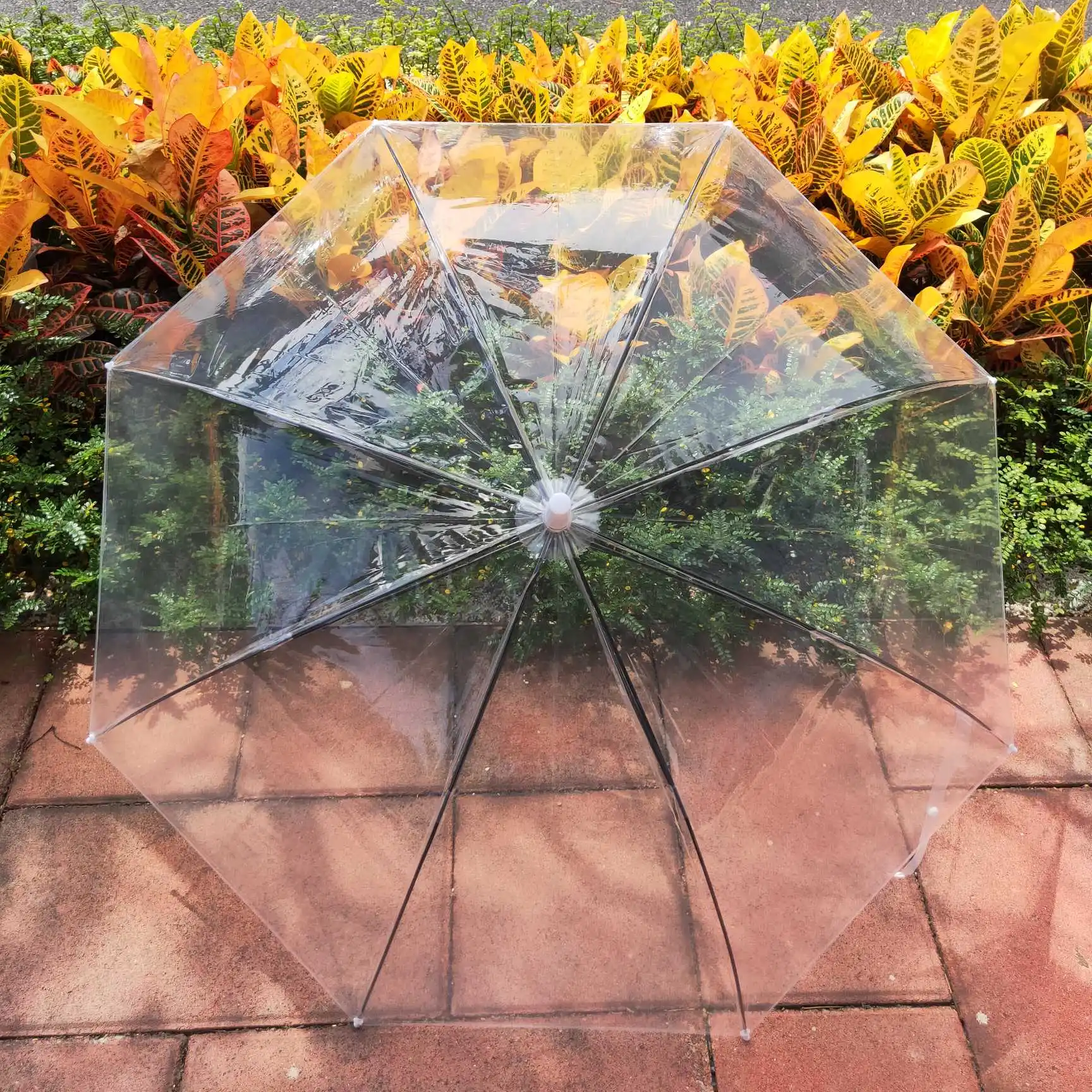 China Umbrella Factory Wholesale cheap POE White Handle Transparent Clear Umbrella umbrellas